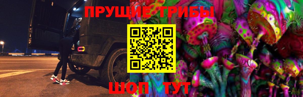 Псилоцибиновые грибы прущие грибы Раменское